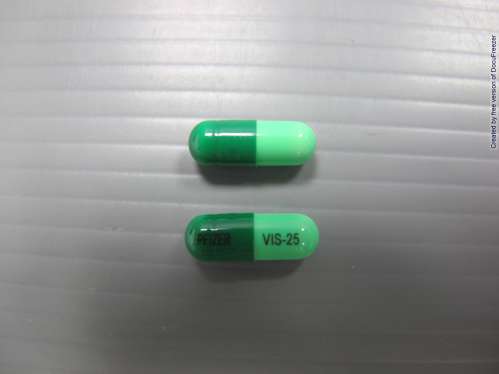 VISTARIL CAPSULES 維泰寧膠囊(1)