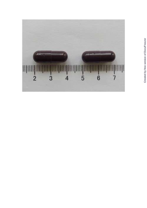 VITA-SINATOMIN CAPSULES "N.C.P." 維他新多命膠囊
