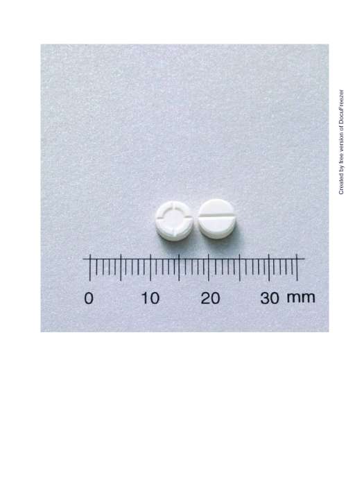 PREDNISOLONE TABLETS "CHINTENG" "井田"保您免痛錠