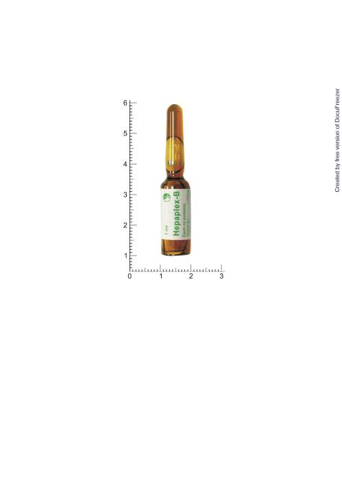 HEPAPLEX-B INJECTION "Y.Y." "應元"複合維他命Ｂ注射液