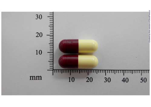 KELFER CAPSULES 500MG 康鐵寧 膠囊500公絲