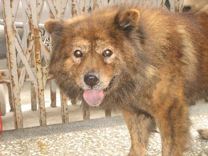 李育軒醫師|小兒內科|我的文章|個人主頁|KingNet國家網路醫藥