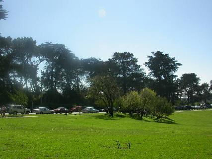 劉文雄醫師|婦科腫瘤|我的文章|個人主頁|KingNet國家網路醫藥