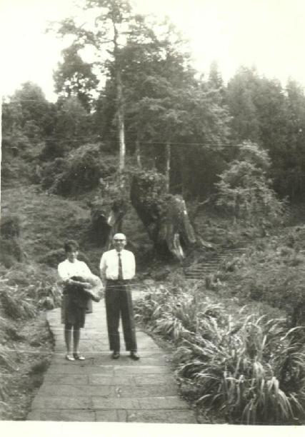 李育軒醫師|小兒內科|我的文章|個人主頁|KingNet國家網路醫藥