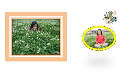 王明俐藥師|藥物諮詢|我的文章|個人主頁|KingNet國家網路醫藥