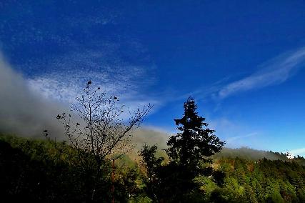 林建汶臨床心理師|臨床心理|我的文章|個人主頁|KingNet國家網路醫藥