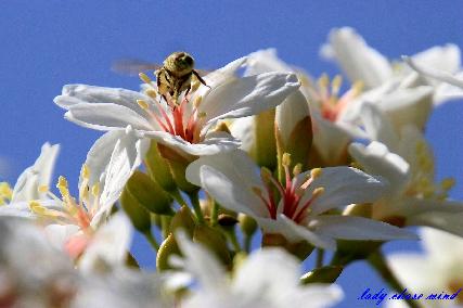 林建汶臨床心理師|臨床心理|我的文章|個人主頁|KingNet國家網路醫藥