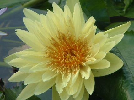 范文宙醫師|泌尿科|我的文章|個人主頁|KingNet國家網路醫藥