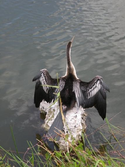 廖正智醫師|神經外科|我的文章|個人主頁|KingNet國家網路醫藥