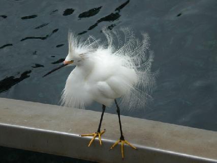 廖正智醫師|神經外科|我的文章|個人主頁|KingNet國家網路醫藥