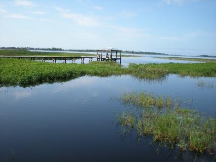 廖正智醫師|神經外科|我的文章|個人主頁|KingNet國家網路醫藥