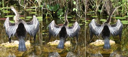 廖正智醫師|神經外科|我的文章|個人主頁|KingNet國家網路醫藥