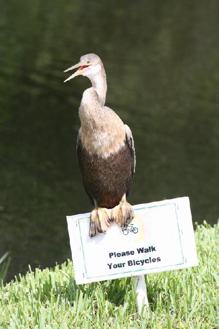 廖正智醫師|神經外科|我的文章|個人主頁|KingNet國家網路醫藥