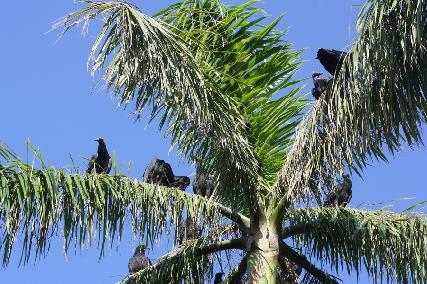 廖正智醫師|神經外科|我的文章|個人主頁|KingNet國家網路醫藥