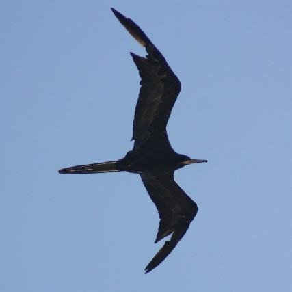 廖正智醫師|神經外科|我的文章|個人主頁|KingNet國家網路醫藥