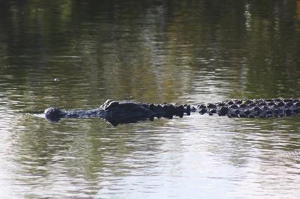 廖正智醫師|神經外科|我的文章|個人主頁|KingNet國家網路醫藥