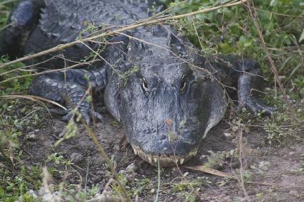 廖正智醫師|神經外科|我的文章|個人主頁|KingNet國家網路醫藥