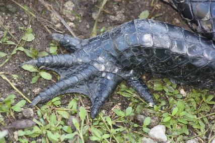 廖正智醫師|神經外科|我的文章|個人主頁|KingNet國家網路醫藥