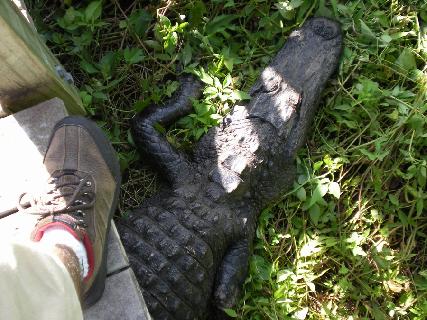 廖正智醫師|神經外科|我的文章|個人主頁|KingNet國家網路醫藥