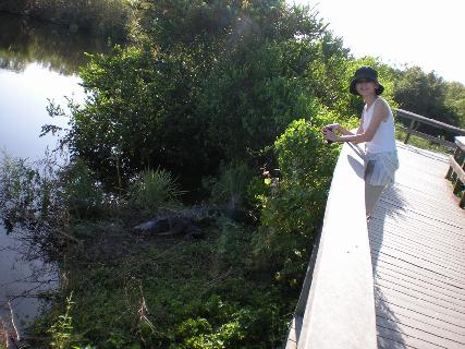 廖正智醫師|神經外科|我的文章|個人主頁|KingNet國家網路醫藥