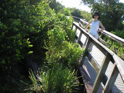 廖正智醫師|神經外科|我的文章|個人主頁|KingNet國家網路醫藥