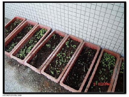 張勳安醫師|精神科|我的文章|個人主頁|KingNet國家網路醫藥