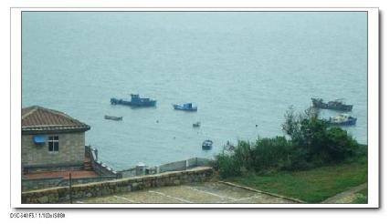 張勳安醫師|精神科|我的文章|個人主頁|KingNet國家網路醫藥