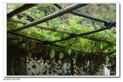 張勳安醫師|精神科|我的文章|個人主頁|KingNet國家網路醫藥