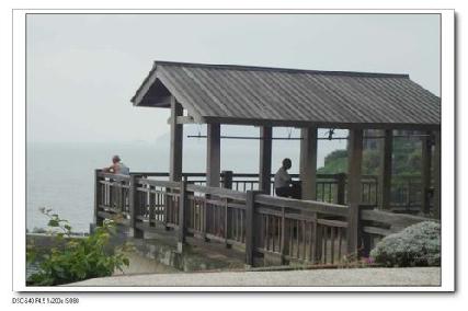 張勳安醫師|精神科|我的文章|個人主頁|KingNet國家網路醫藥