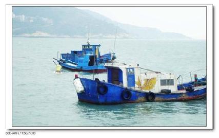 張勳安醫師|精神科|我的文章|個人主頁|KingNet國家網路醫藥