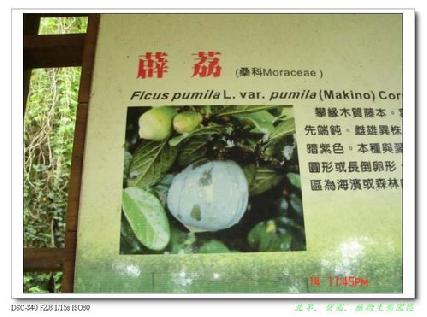 張勳安醫師|精神科|我的文章|個人主頁|KingNet國家網路醫藥