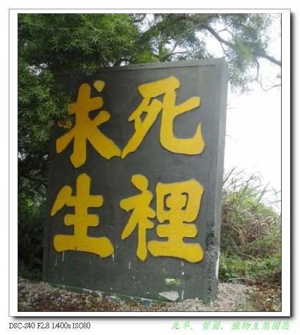 張勳安醫師|精神科|我的文章|個人主頁|KingNet國家網路醫藥