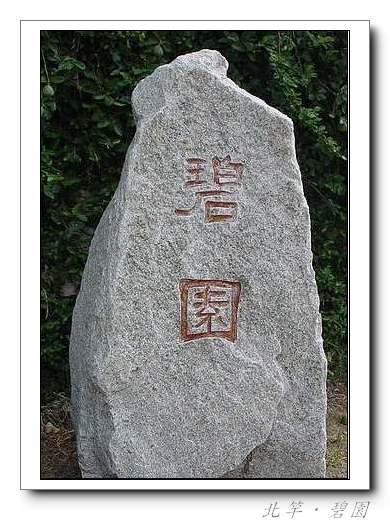 張勳安醫師|精神科|我的文章|個人主頁|KingNet國家網路醫藥