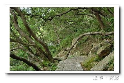 張勳安醫師|精神科|我的文章|個人主頁|KingNet國家網路醫藥