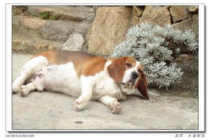 張勳安醫師|精神科|我的文章|個人主頁|KingNet國家網路醫藥