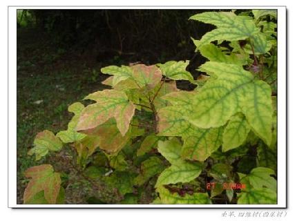 張勳安醫師|精神科|我的文章|個人主頁|KingNet國家網路醫藥