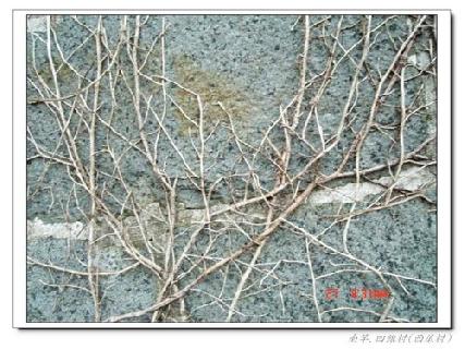 張勳安醫師|精神科|我的文章|個人主頁|KingNet國家網路醫藥