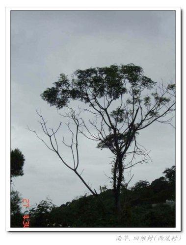 張勳安醫師|精神科|我的文章|個人主頁|KingNet國家網路醫藥