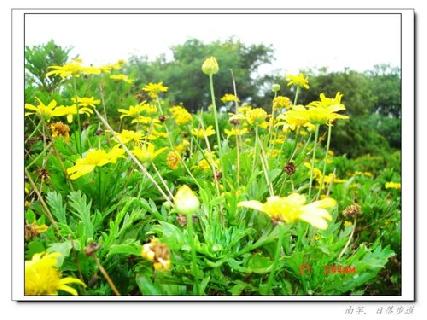 張勳安醫師|精神科|我的文章|個人主頁|KingNet國家網路醫藥