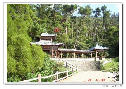 張勳安醫師|精神科|我的文章|個人主頁|KingNet國家網路醫藥