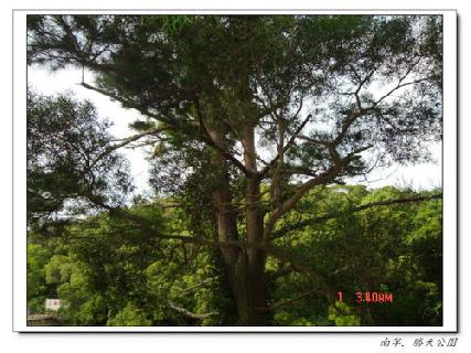 張勳安醫師|精神科|我的文章|個人主頁|KingNet國家網路醫藥