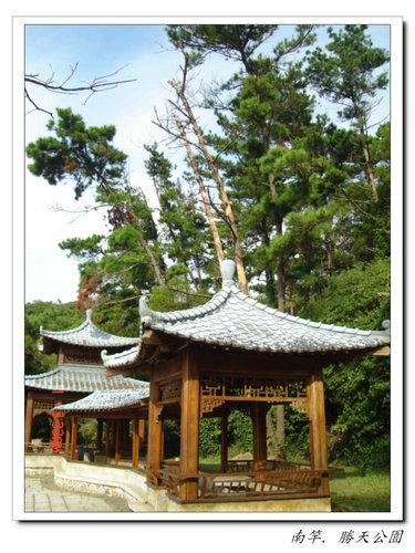 張勳安醫師|精神科|我的文章|個人主頁|KingNet國家網路醫藥