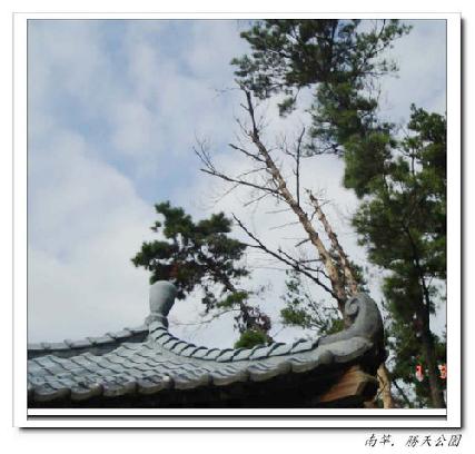 張勳安醫師|精神科|我的文章|個人主頁|KingNet國家網路醫藥