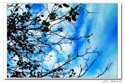 張勳安醫師|精神科|我的文章|個人主頁|KingNet國家網路醫藥