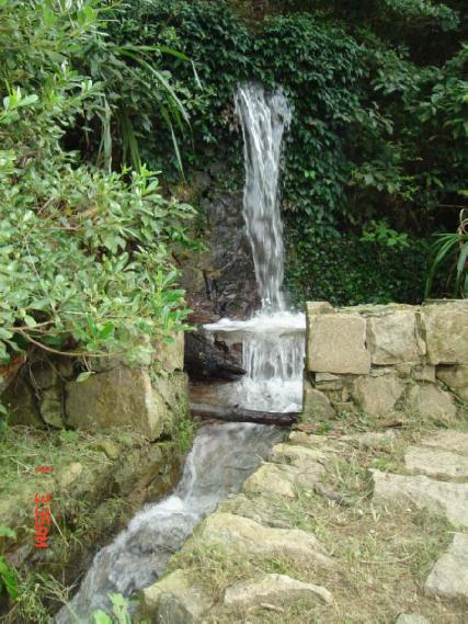 張勳安醫師|精神科|我的文章|個人主頁|KingNet國家網路醫藥