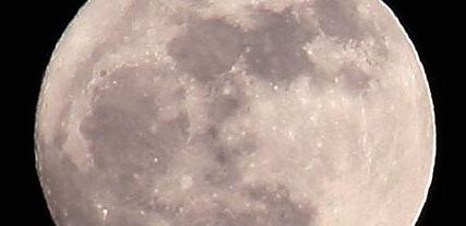 李育軒醫師|小兒內科|我的文章|個人主頁|KingNet國家網路醫藥