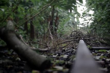 賴曉虹醫師|家庭醫學科|我的文章|個人主頁|KingNet國家網路醫藥