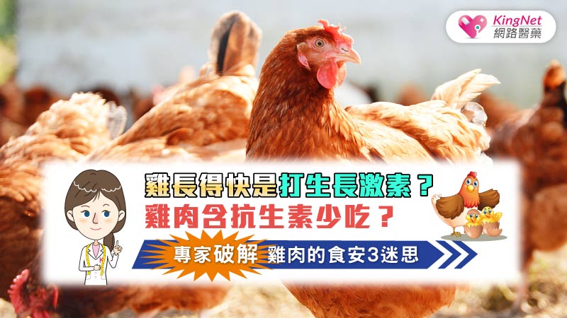 雞長得快是打生長激素？雞肉含抗生素少吃？專家破解雞肉的食安3迷思