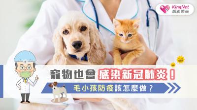寵物也會感染新冠肺炎！毛小孩防疫該怎麼做？