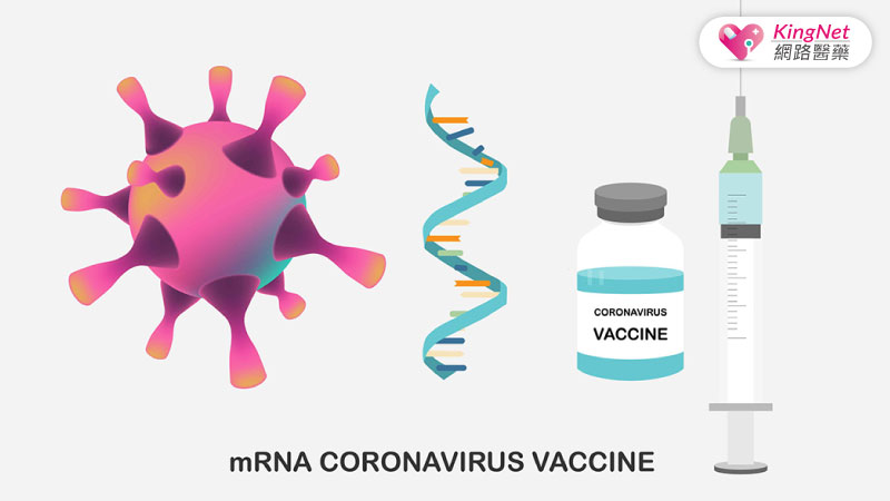mRNA疫苗作用